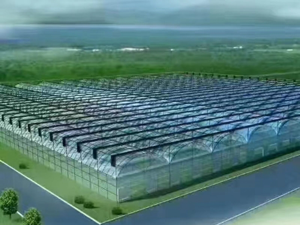 微信图片_202207261157565