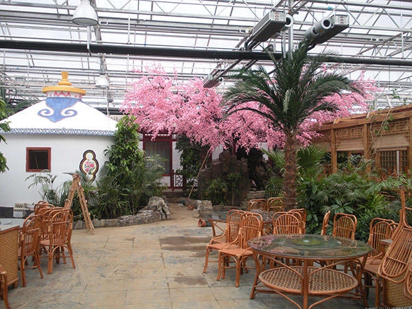 生态餐厅